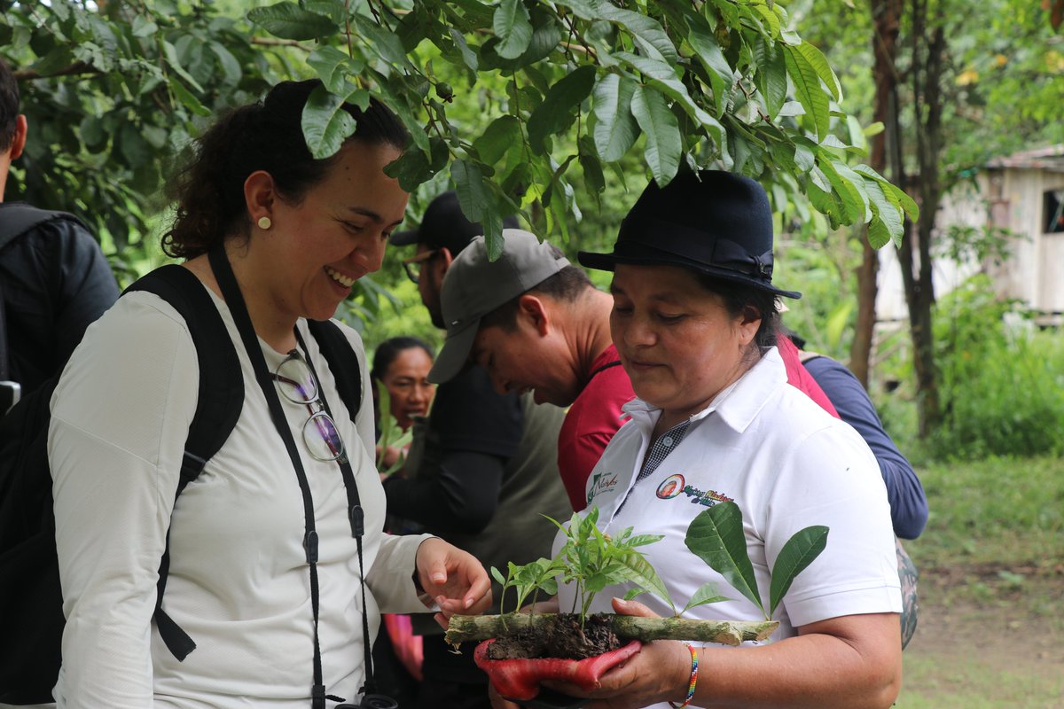 FondoNoruego_es's tweet photo. ✨Cerramos en Leticia 🇨🇴 un ciclo de trabajo colectivo en defensa de los bosques, el ambiente y los derechos humanos 🌿🕊️

Durante tres días compartimos aprendizajes y experiencias junto a organizaciones que muestran que conservación y autonomía van de la mano 💪🏽🌎 https://t.co/gnsg1abGB8