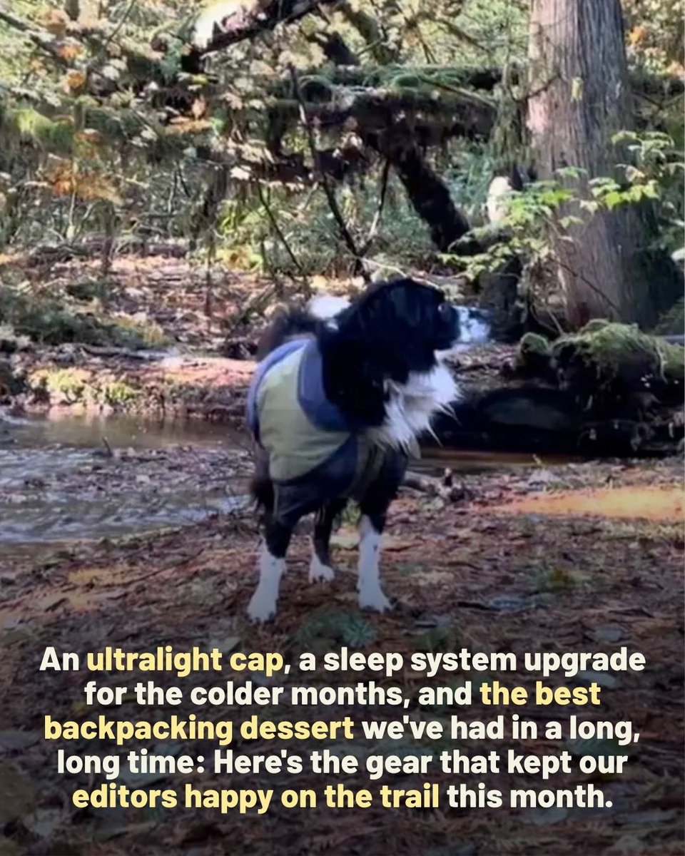 Backpacker Magazine tweet media