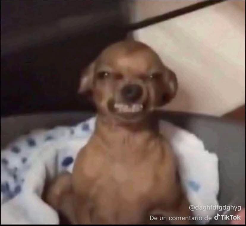 Did you notice that it’s only women on these pictures who are queuing for burgers 

They wanna eat those cheap burgers so they can have enough energy to change their profile pictures to purple and hate on men the whole day 😭😭😭