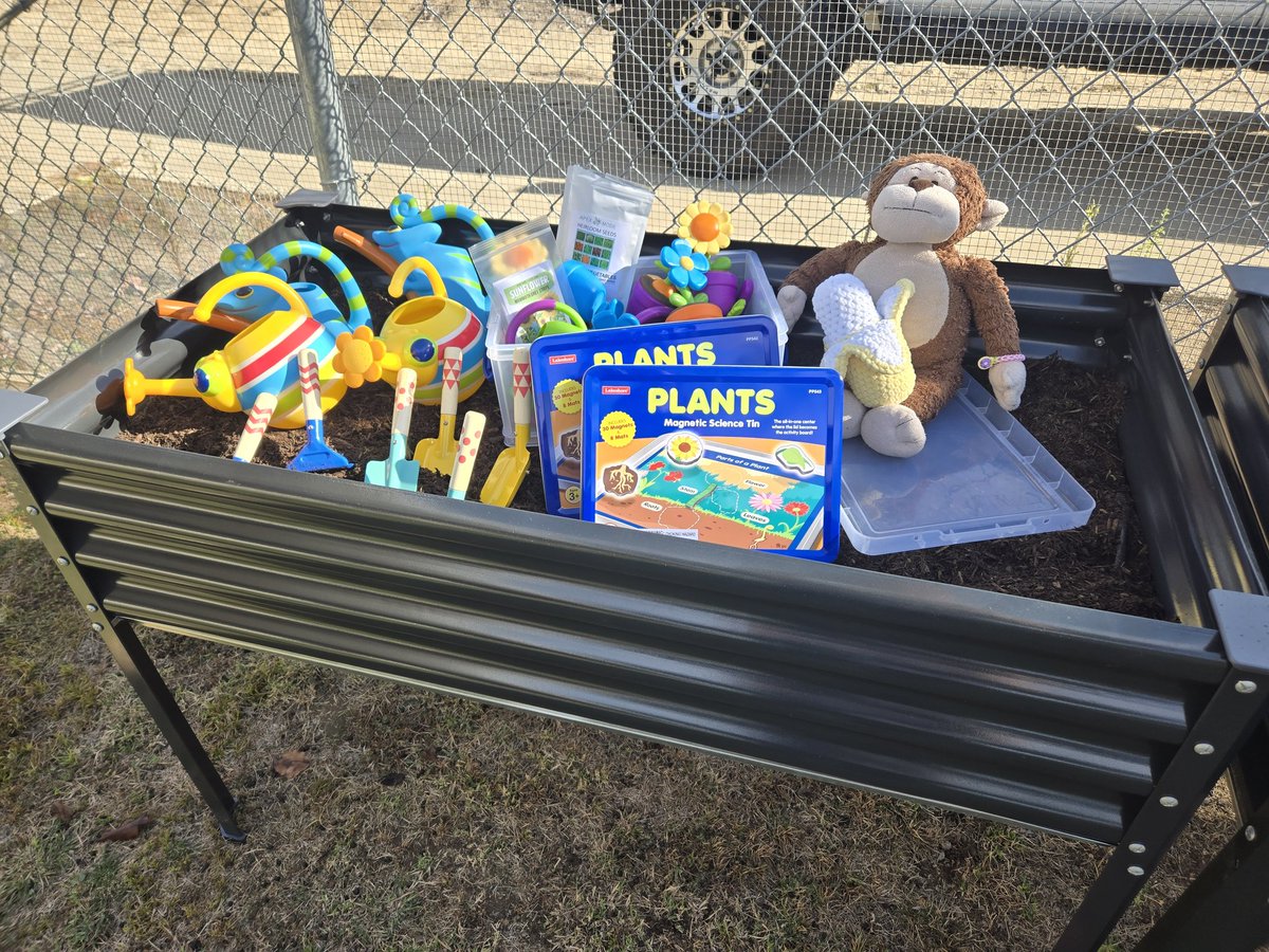 First Grade Monkey tweet media