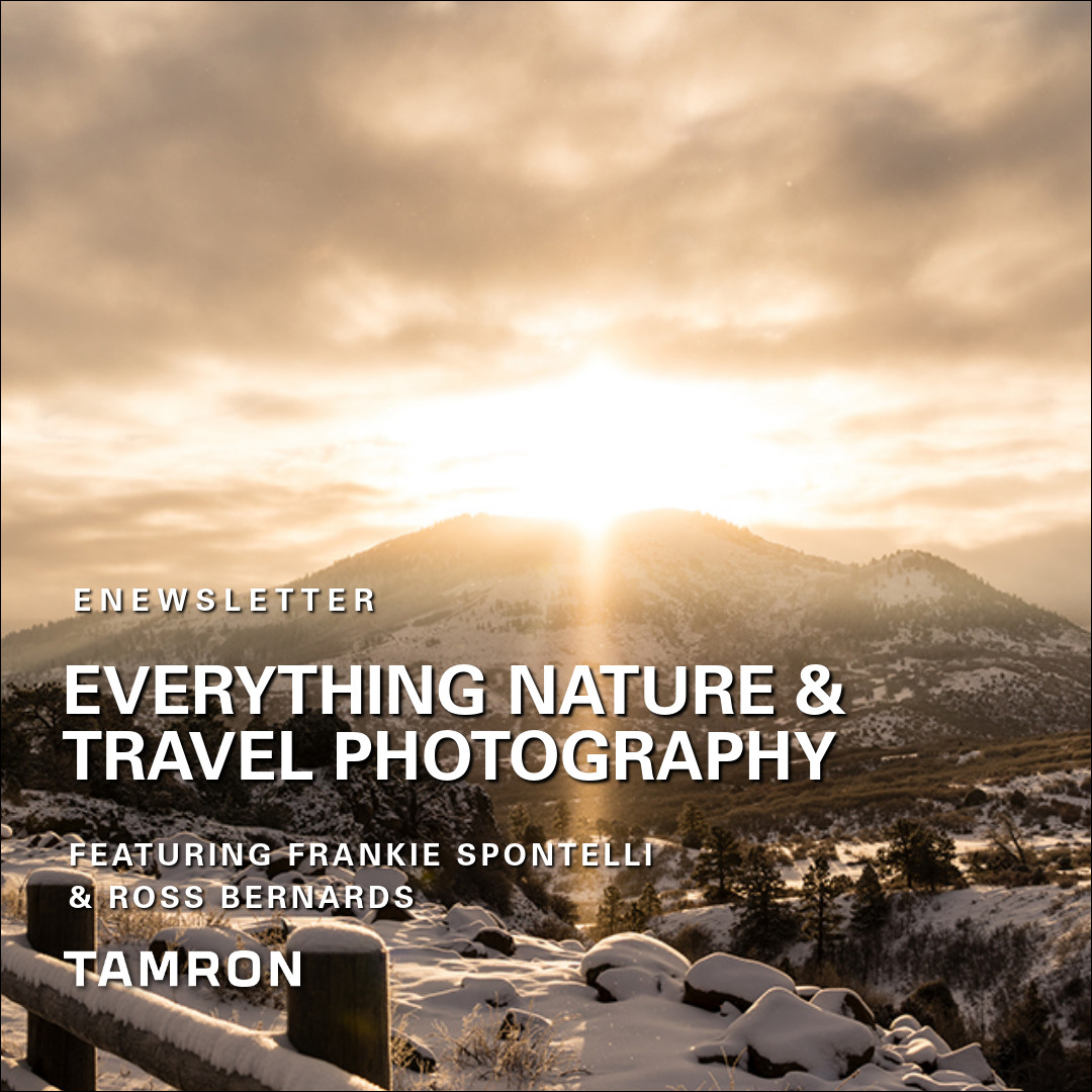 Frankie Spontelli tweet media