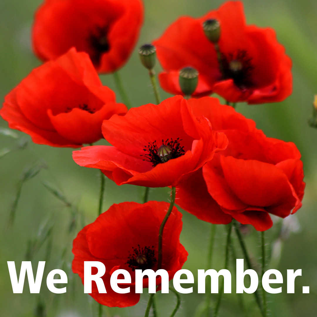 Remembrance Day and every day of the year, we recognize those who have served and continue to serve, and we honour those who have fallen in the service of our country.