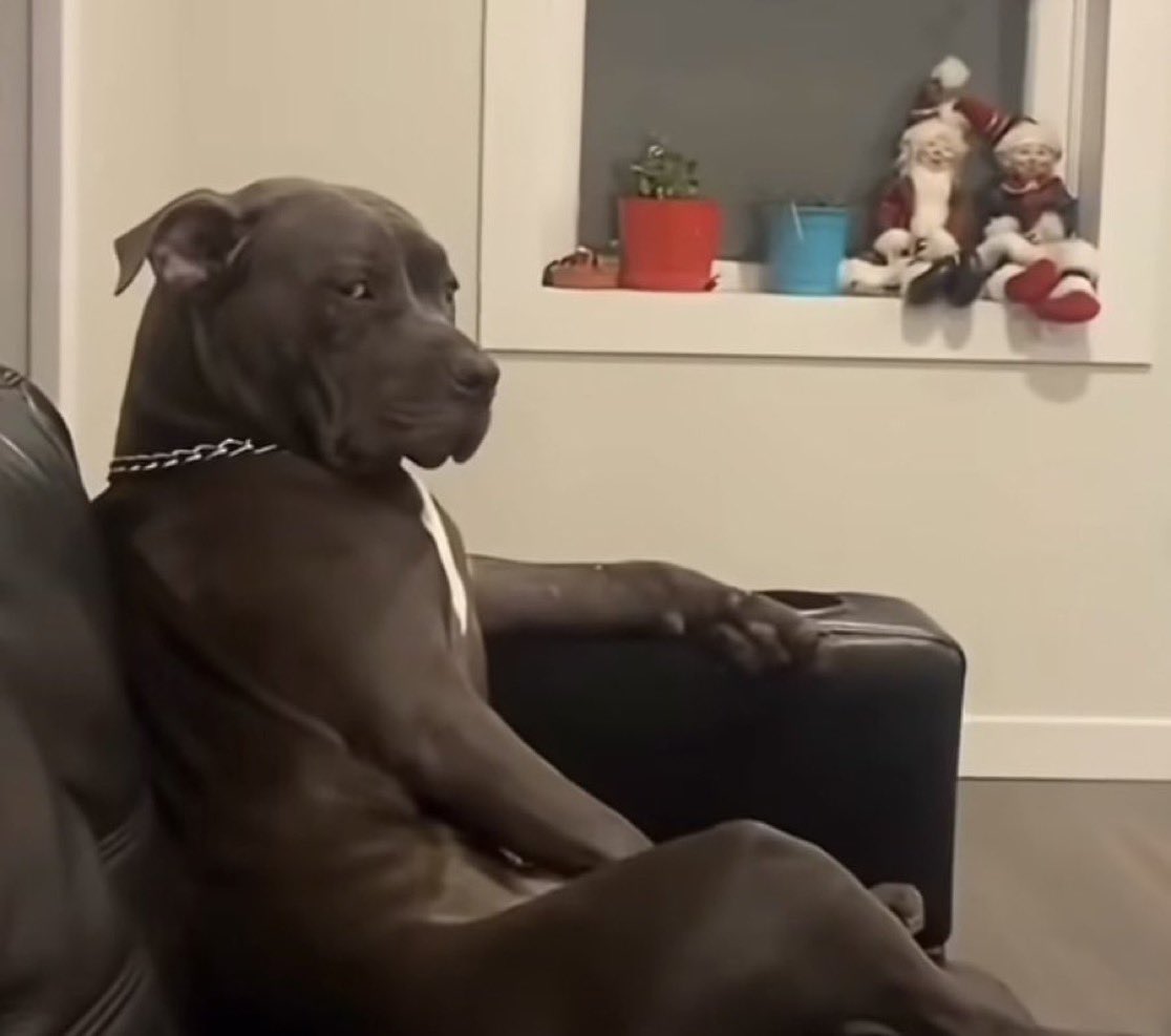 “you’re the first guy i ever brought home”

her dog: