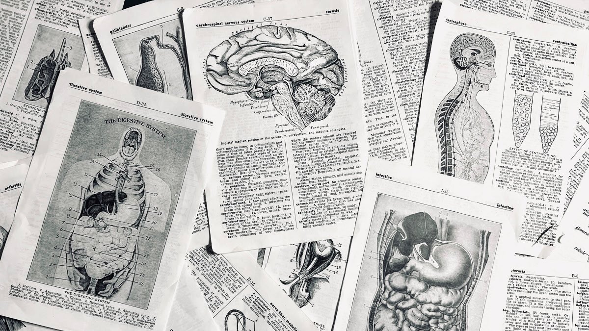 midnighthxze's tweet image. 🩺 

       ׂ╰┈➤ the doctor is: IN

┆ dr. isabelle han
      ⤿ pediatric surgeon ! au
      ⤿ she/her. bi. (n)sfw
      ⤿ eng only. mdni. selective