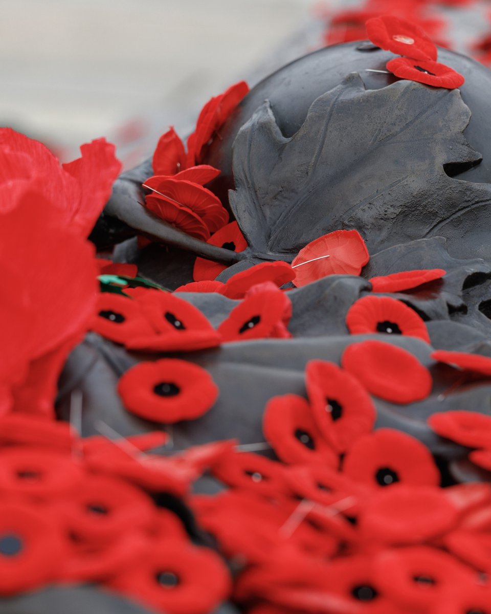 Alpha_Controls's tweet image. Today, we pause to remember and honour the brave men and women who served and sacrificed for our freedom. ❤️

Their courage, dedication, and legacy continue to inspire us every day.

Lest we forget. 🌺

#RemembranceDay #AlphaControls #LestWeForget #HonourAndRemember