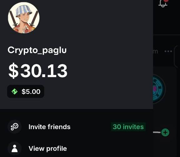 Crypto Paglu 🎒 tweet media