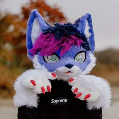 #NewProfilePic #FursuitEveryday