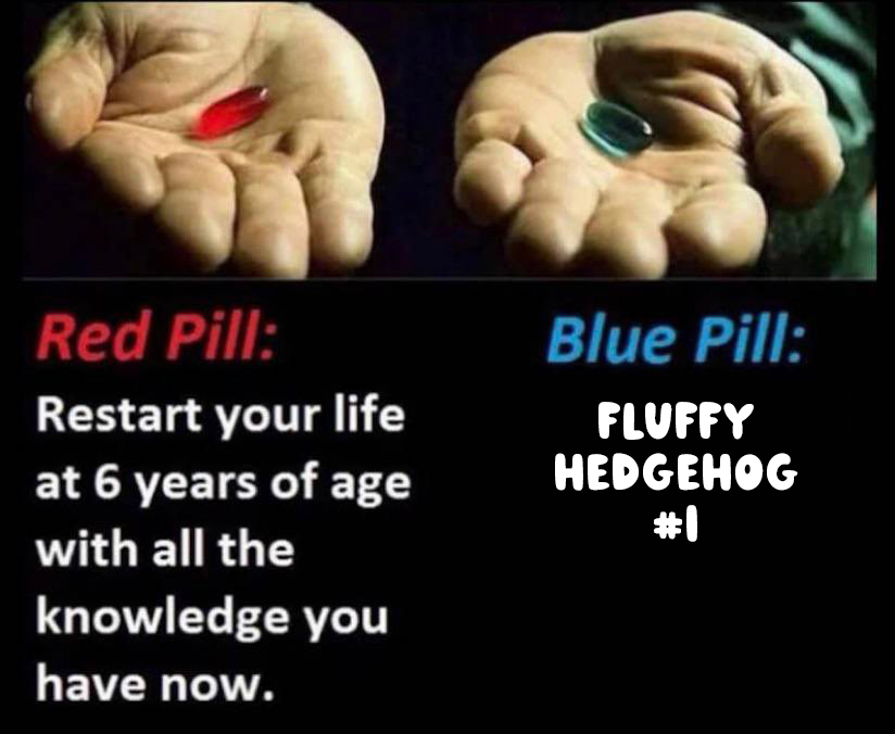 Which one ?!?!?!??!?!?!?!?!??!?!?!