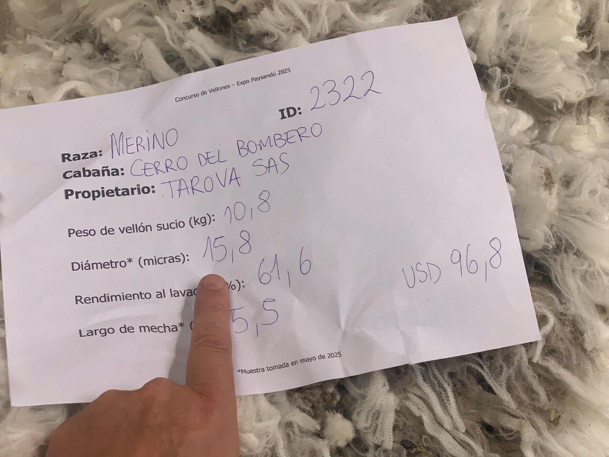 <a href="/BomberoDel/">CerroDelBombero</a> Y más de animales e instalaciones y conocimiento del productor y su equipo trabajo <a href="/BomberoDel/">CerroDelBombero</a> <a href="/CRILU_uy/">CRILU Uruguay</a> <a href="/SUL_uy/">SUL</a> <a href="/PlanAgro/">Plan Agropecuario</a>