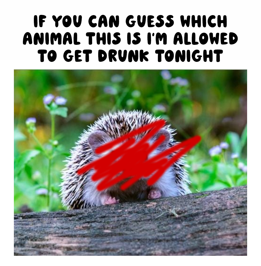 Monday? No, late Sunday 😁