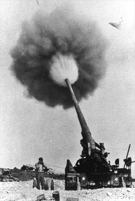 Mako (patchie for a bit) 💛🤍💜🖤 tweet media