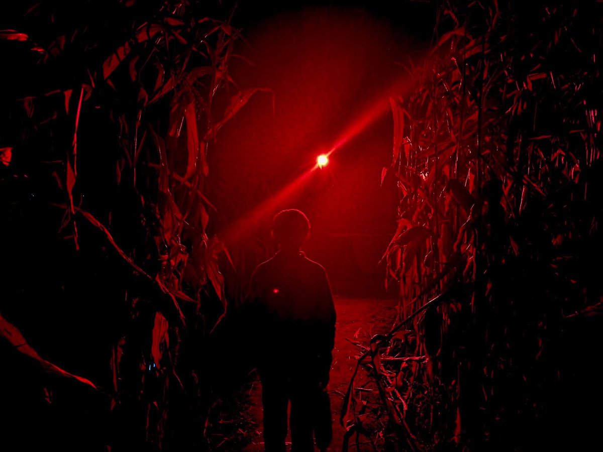StephenLemieu15's tweet image. Can’t wait to do this corn maze next year.  It was a great venue for the price.   This is the haunted corn maze out on by Schuyler Farms in Schuylerville NY on October 18, 2025.    #HappyHalloween2025 #cornmaze #haunted #hauntedcornmaze #night #fright #scary #SchuylervilleNY