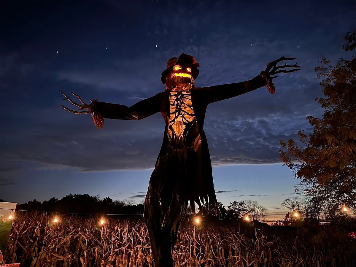 StephenLemieu15's tweet image. Can’t wait to do this corn maze next year.  It was a great venue for the price.   This is the haunted corn maze out on by Schuyler Farms in Schuylerville NY on October 18, 2025.    #HappyHalloween2025 #cornmaze #haunted #hauntedcornmaze #night #fright #scary #SchuylervilleNY