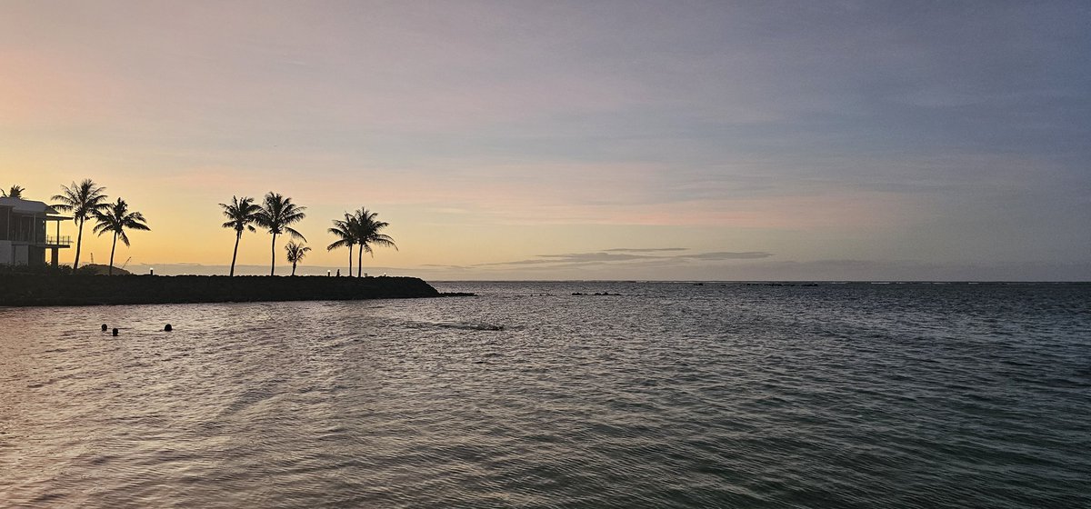The team swam. And I walked. Everybody was happy 🤪. 
#gotMySteps 
Grateful to live in Samoa.