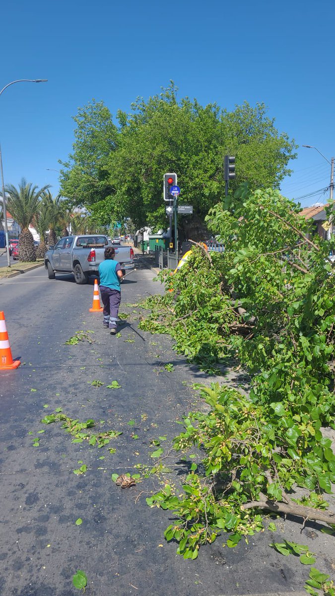 Equipo <a href="/munirancagua/">Rancagua</a> en lugar