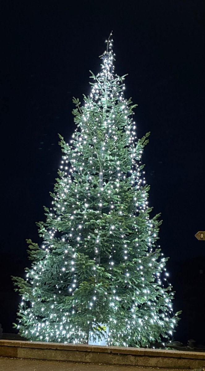 Thank you to <a href="/HolkhamEstate/">Holkham</a> for putting up our Christmas tree on the quayside 👍👊🎄