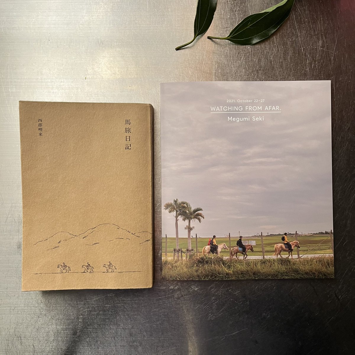 tanjibrico's tweet photo. 今夜の立ち読み立ち飲みは、関めぐみさんの『WATCHING FROM AFAR.』
この夏に刊行された西郡哩来さんの『馬旅日記』と対をなす写真集。
3人の15歳と3頭の馬が、沖縄を9日かけて旅した記録。着かず離れず見ている関さんの視線のおかげで、まるで自分もそこで伴走していたような気持ちになる。てか、涙。 https://t.co/9T9dwrDAFT
