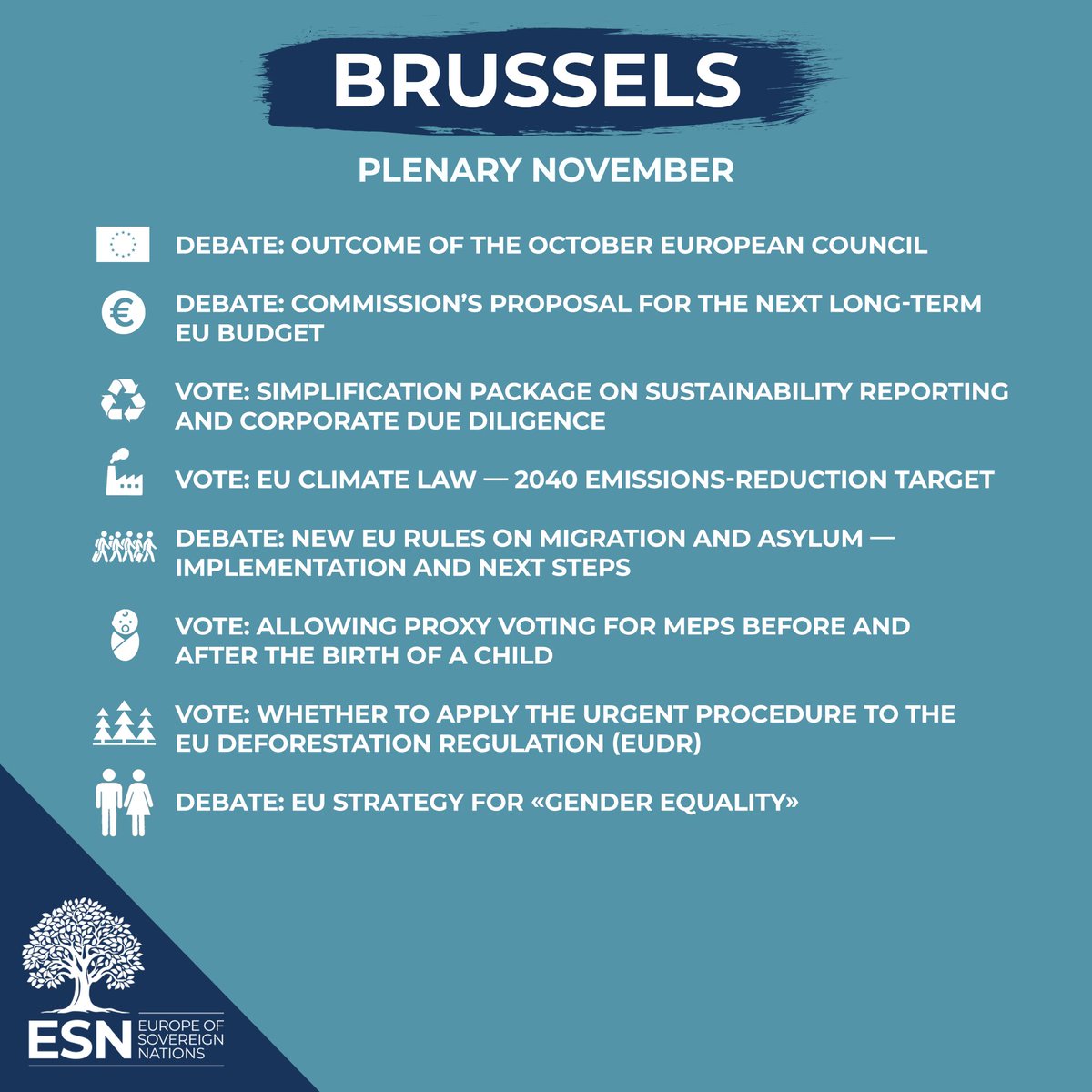 This week’s plenary session takes place in Brussels. 

Even though there are fewer agenda points than in Strasbourg, we won’t let ourselves be misled here either. Our mission remains clear: politics for our nations and our citizens – sovereignty and freedom! 💪
