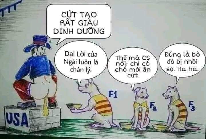 Cuong9468's tweet photo. @phongvientudo https://t.co/Bu9ypCZfE3