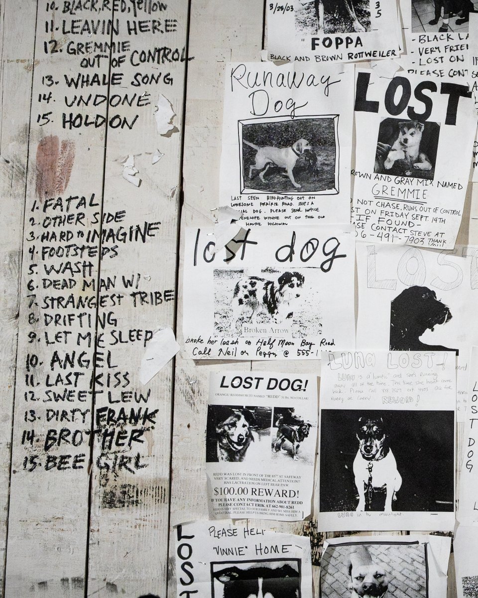 PearlJam's tweet image. A closer look at the &quot;Lost Dogs&quot; album art props. The compilation of b-sides and rarities was released 22 years ago today. 🐶