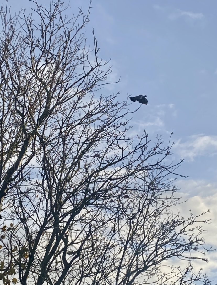 “…I rush toward being alone as rivers rush toward the sea.”

~ Franz Kafka, Letters