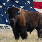 Photo by The Buffalo Wool Co. (@BuffaloWoolCo)