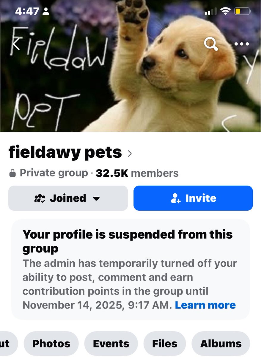 😂😂😂😂😂😂ادمن فيلداوي عاملي بان ٥ ايام