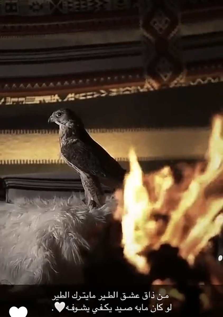 💛السوري💛 (@j9uym11) on Twitter photo 