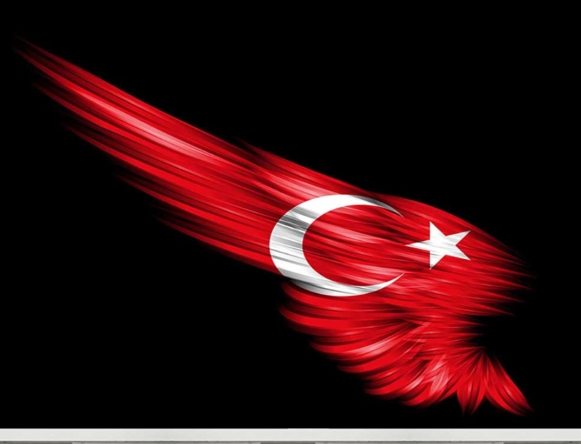 Kaza mı, değil mi? Elbette gerekli incelemeler yapılmalıdır. Şehitlerimize rahmetler olsun. Vatan sağolsun.