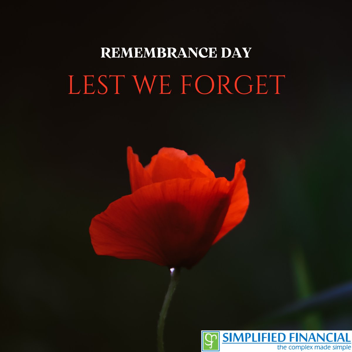 SimplifiedFin's tweet image. Have a peaceful Remembrance Day. 🌹

#remembranceday