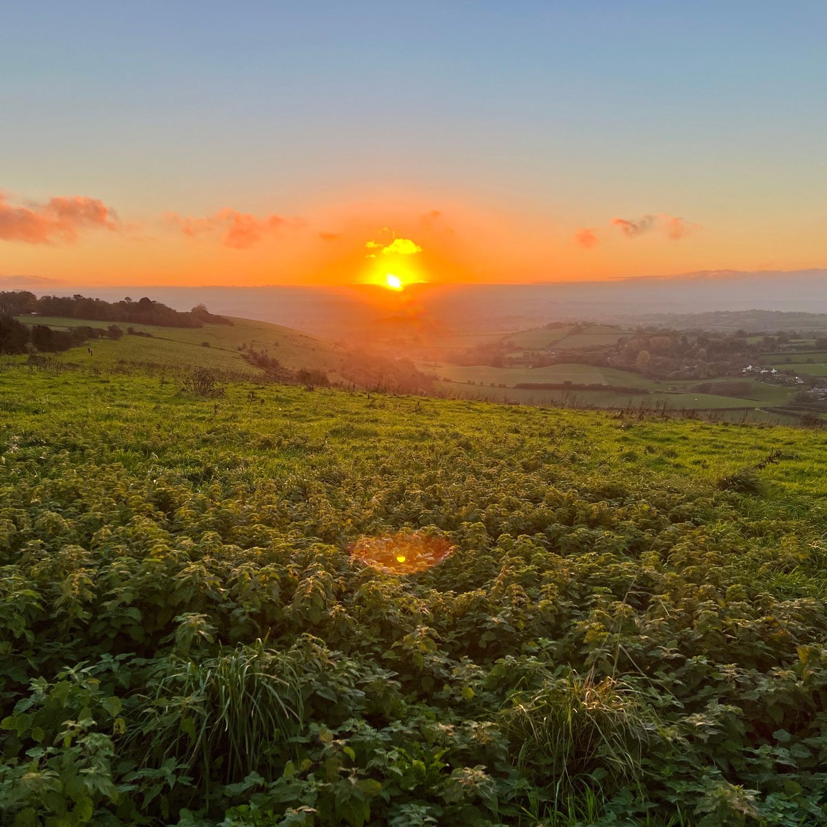 Ninebarrow tweet media