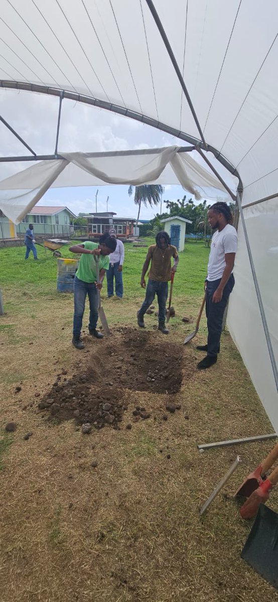 FAO in the Caribbean tweet media