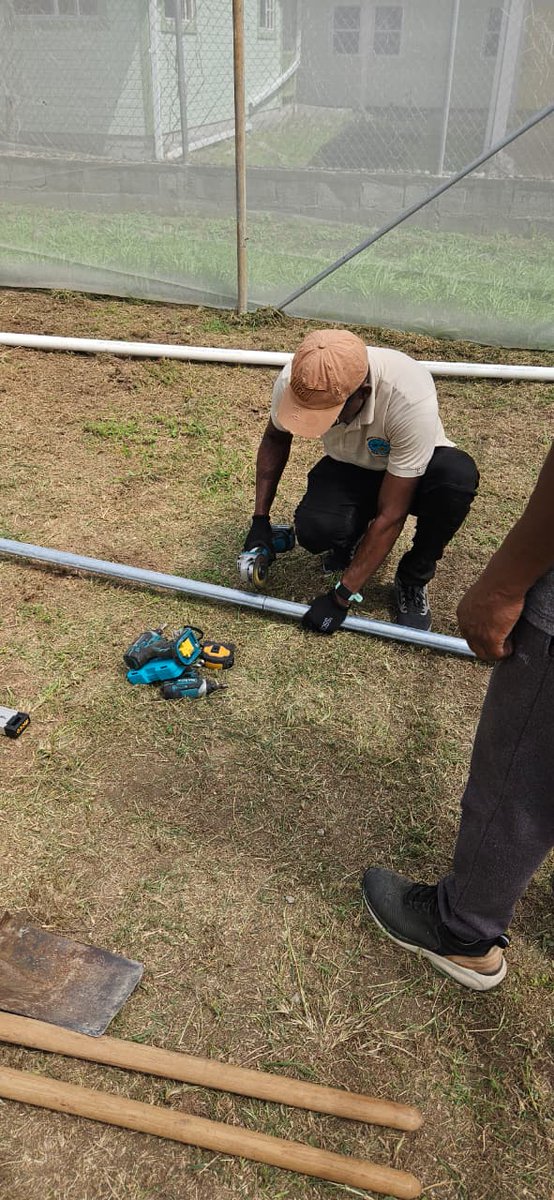 FAO in the Caribbean tweet media