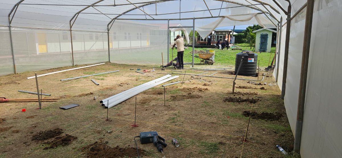 FAO in the Caribbean tweet media