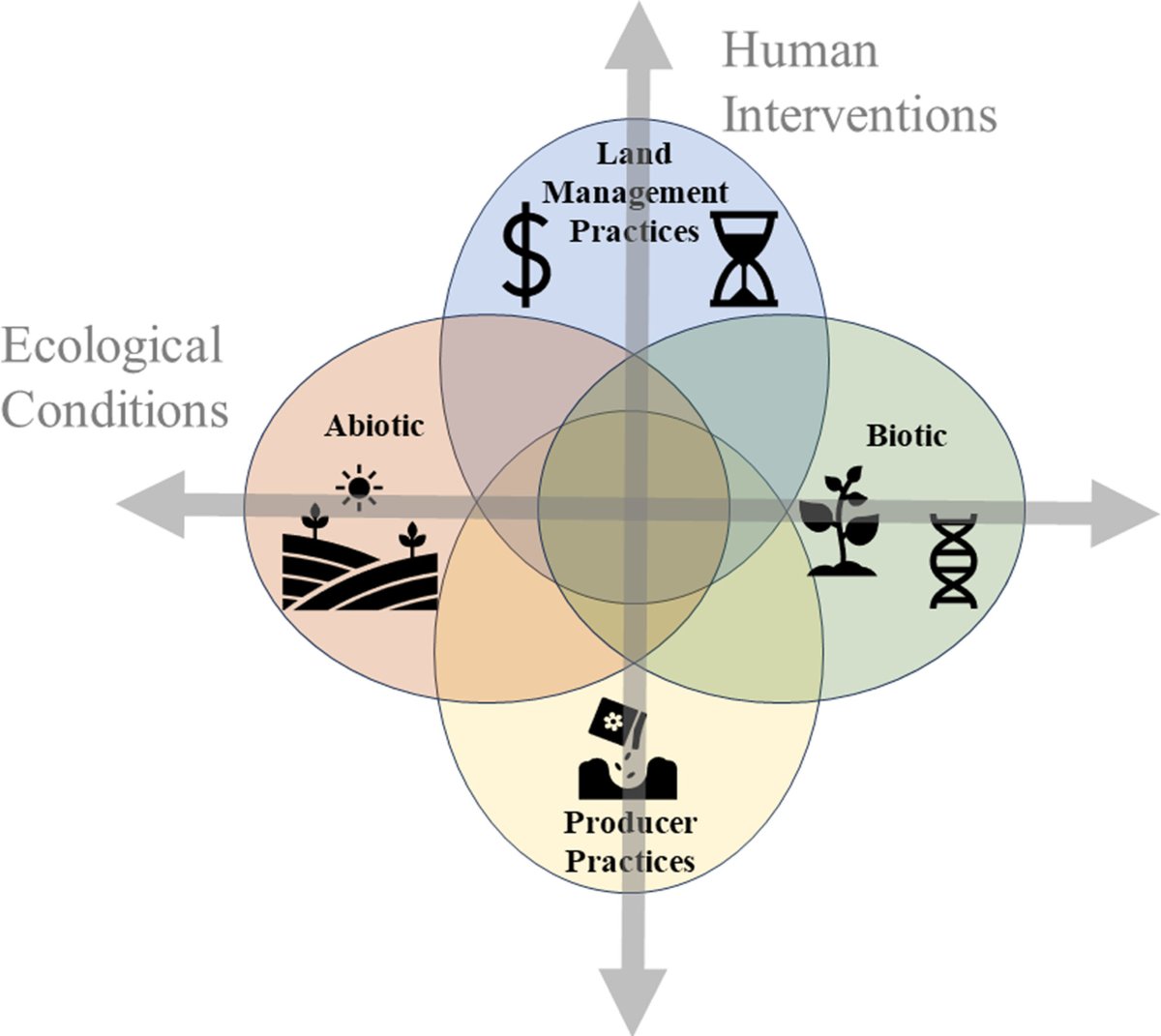 🌾 Bridging seed selection theory &amp; practice: A new review compares agency guidance &amp; scientific literature across the Interior West/Central U.S., highlighting shared priorities &amp; gaps.
loom.ly/iqg2_gc