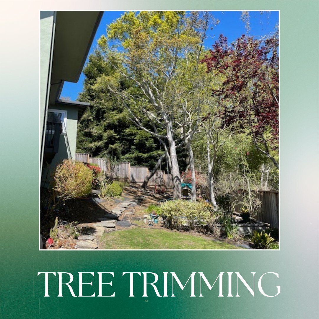 ColoresTree's tweet image. I provide precise #TreeTrimming to shape your trees, improve their health, and enhance curb appeal. My attention to detail ensures your trees thrive year-round. Contact me today and let me help your trees look their best!
treeservicesaromas.com/tree-trimming