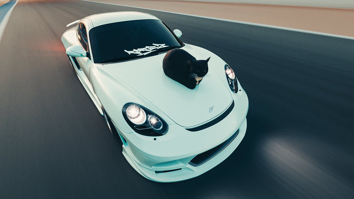 there as promised a cat