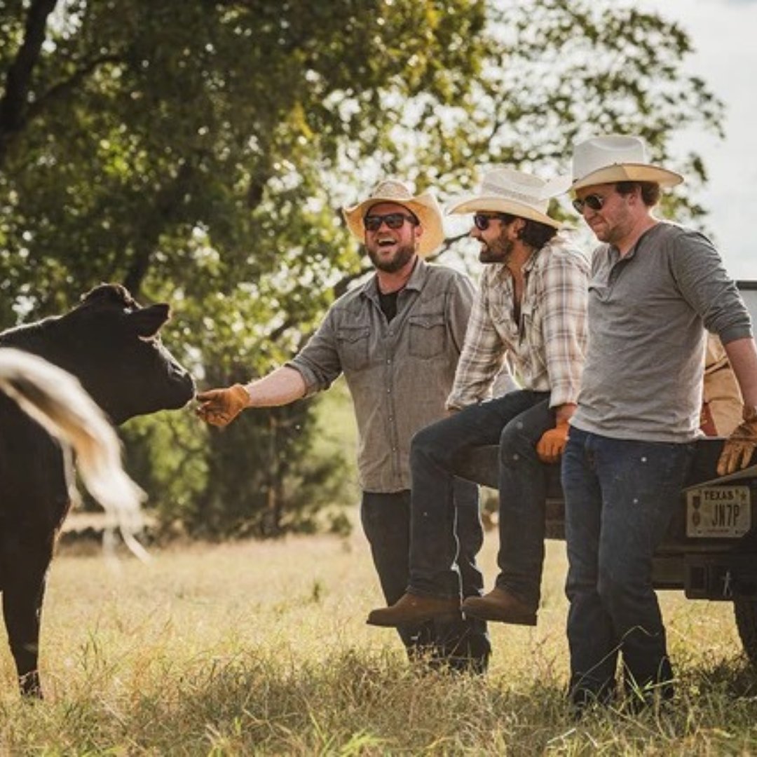 Performance Livestock Analytics tweet media