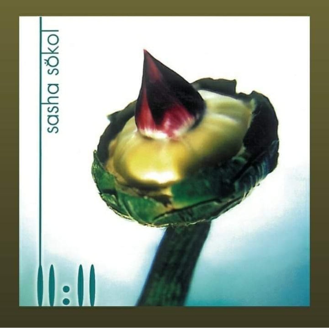 Hace 28 años salió al mercado el album "11:11" de Sasha Sokol.