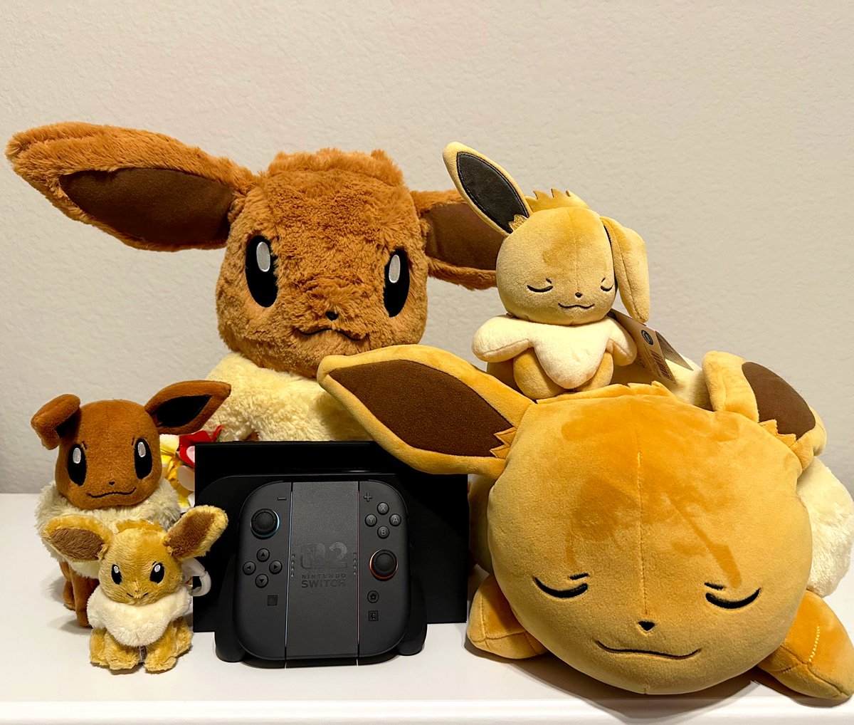 Very thankful &amp;blessed for the wonderful precious people in my life. I recently was gifted a Switch 2 and then yesterday I was gifted a new Animal Crossing to replace my lost [300+ hr invested] digital copy that was on my ex’s old Nintendo account 🥹✨