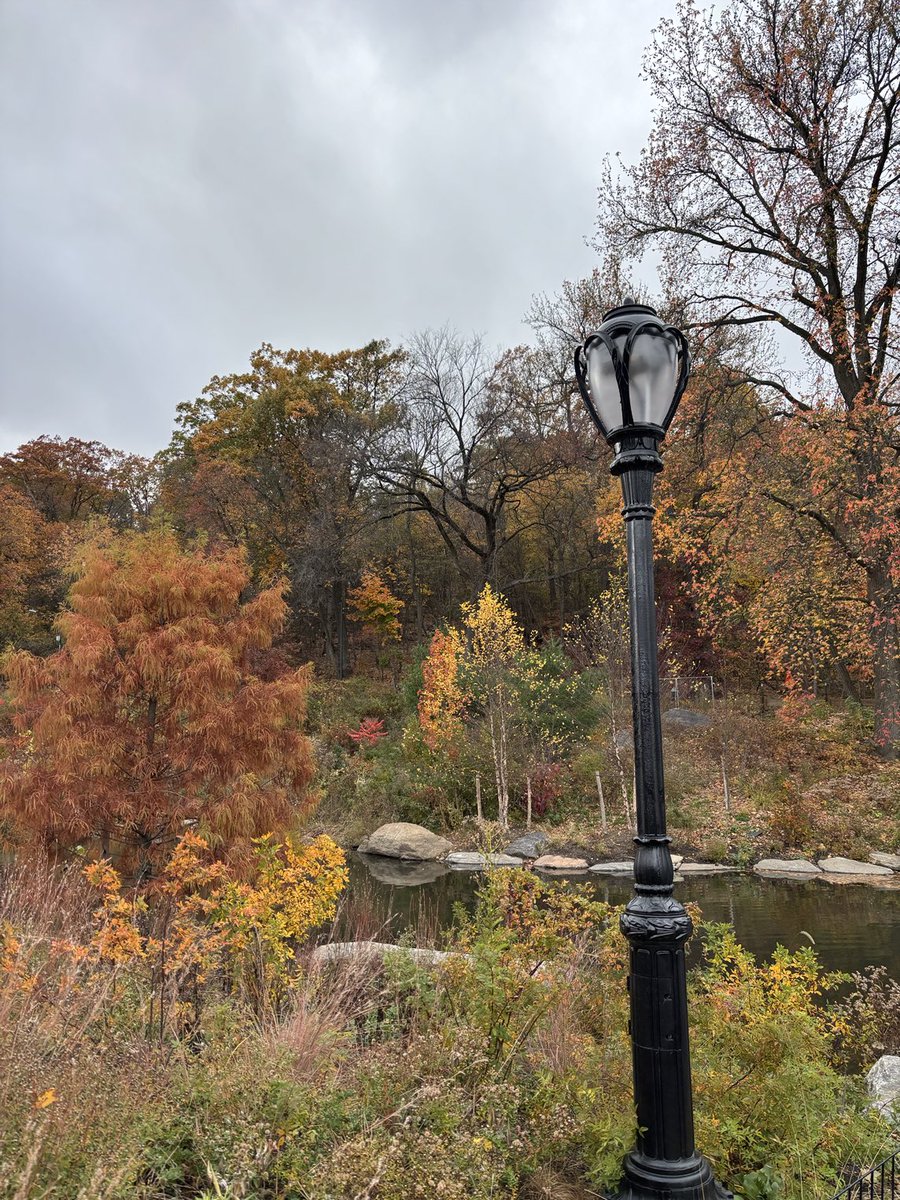 John Colapinto tweet media