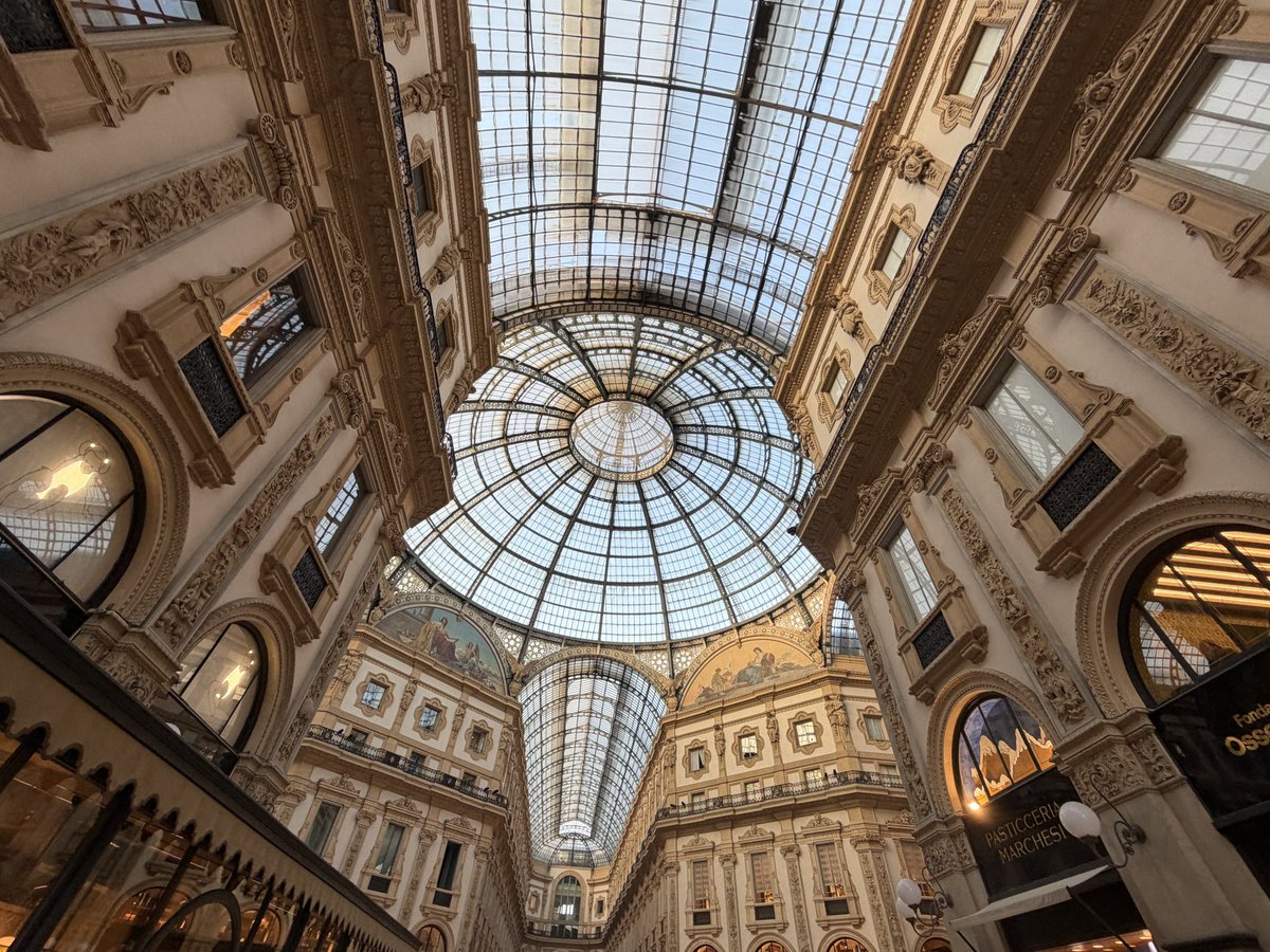 Mr. Trader tweet media