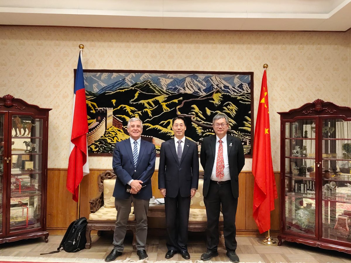 Embajada de China en Chile tweet media