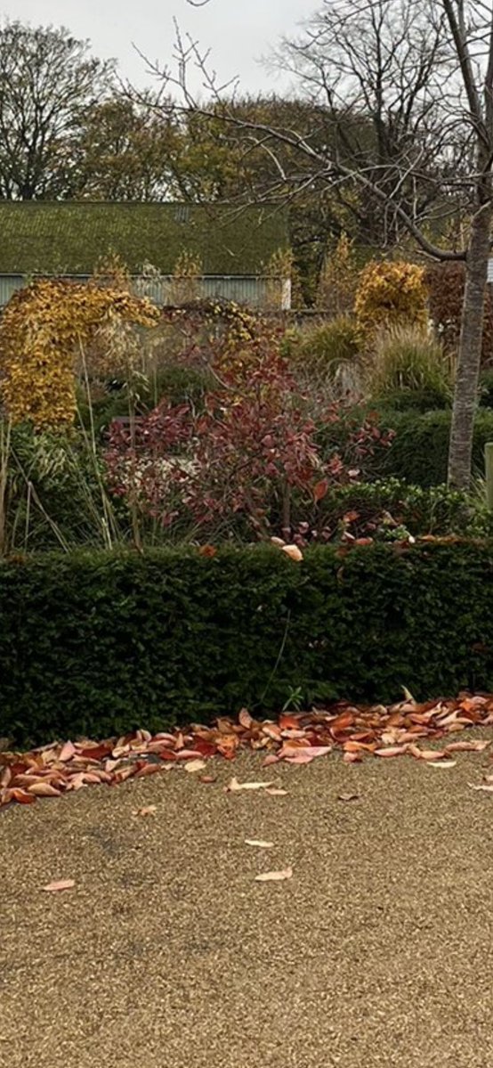 ⁦<a href="/robsellers123/">rob sellers🇾🇪</a>⁩ if that’s not him I give up, you’ve beat me 🤣🐶