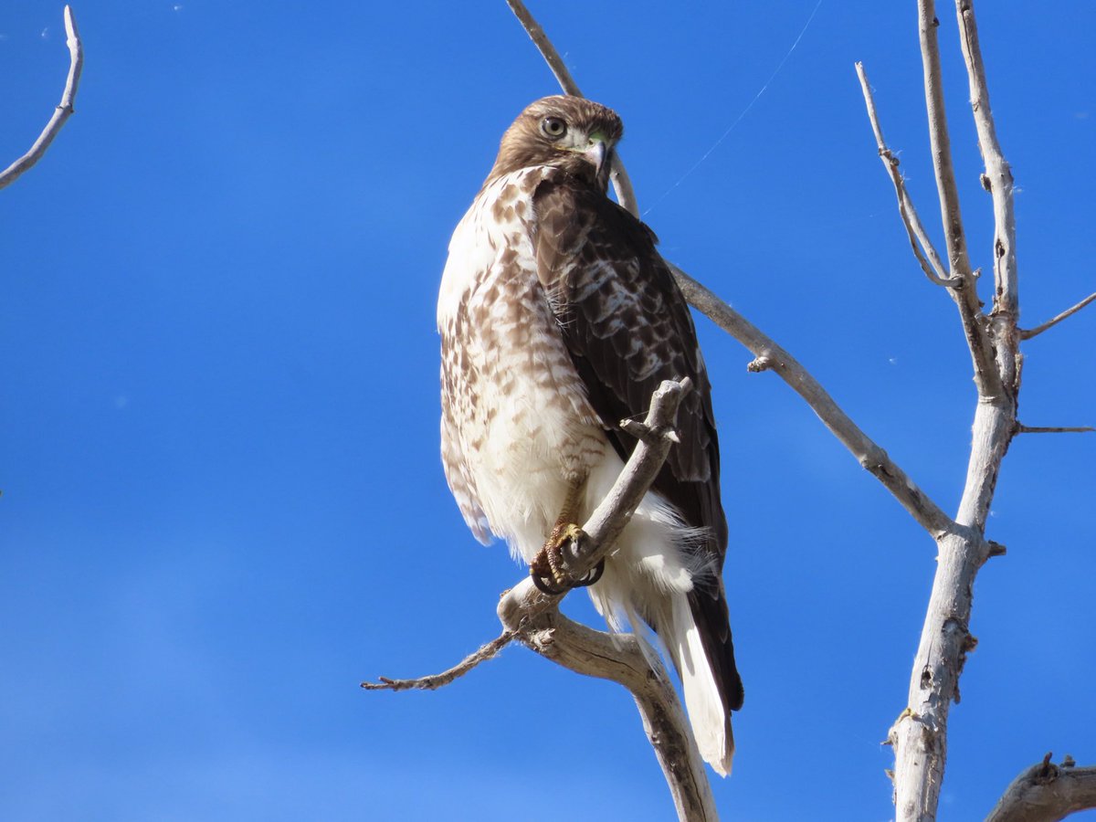 Fenton Reed tweet media