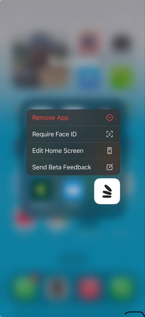 What App name is this ?