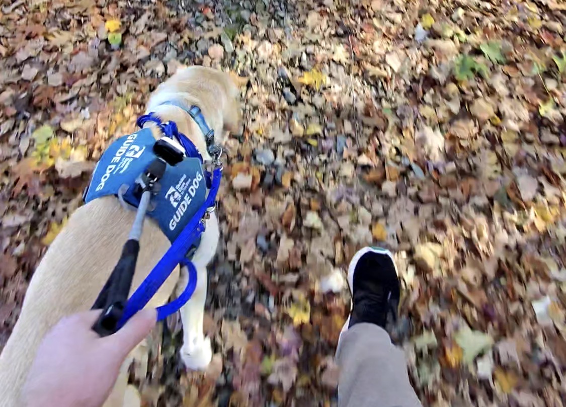 James Rath tweet media