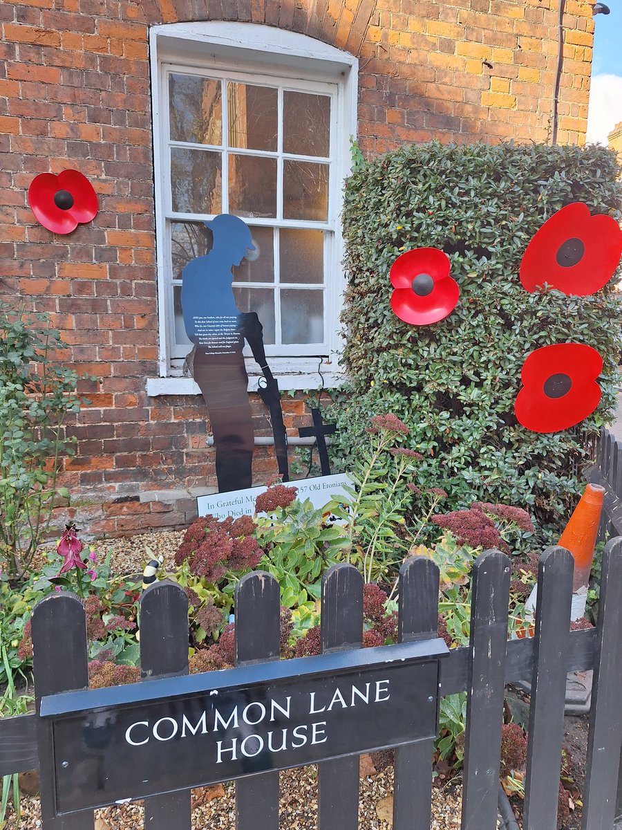 RobKig's tweet image. 