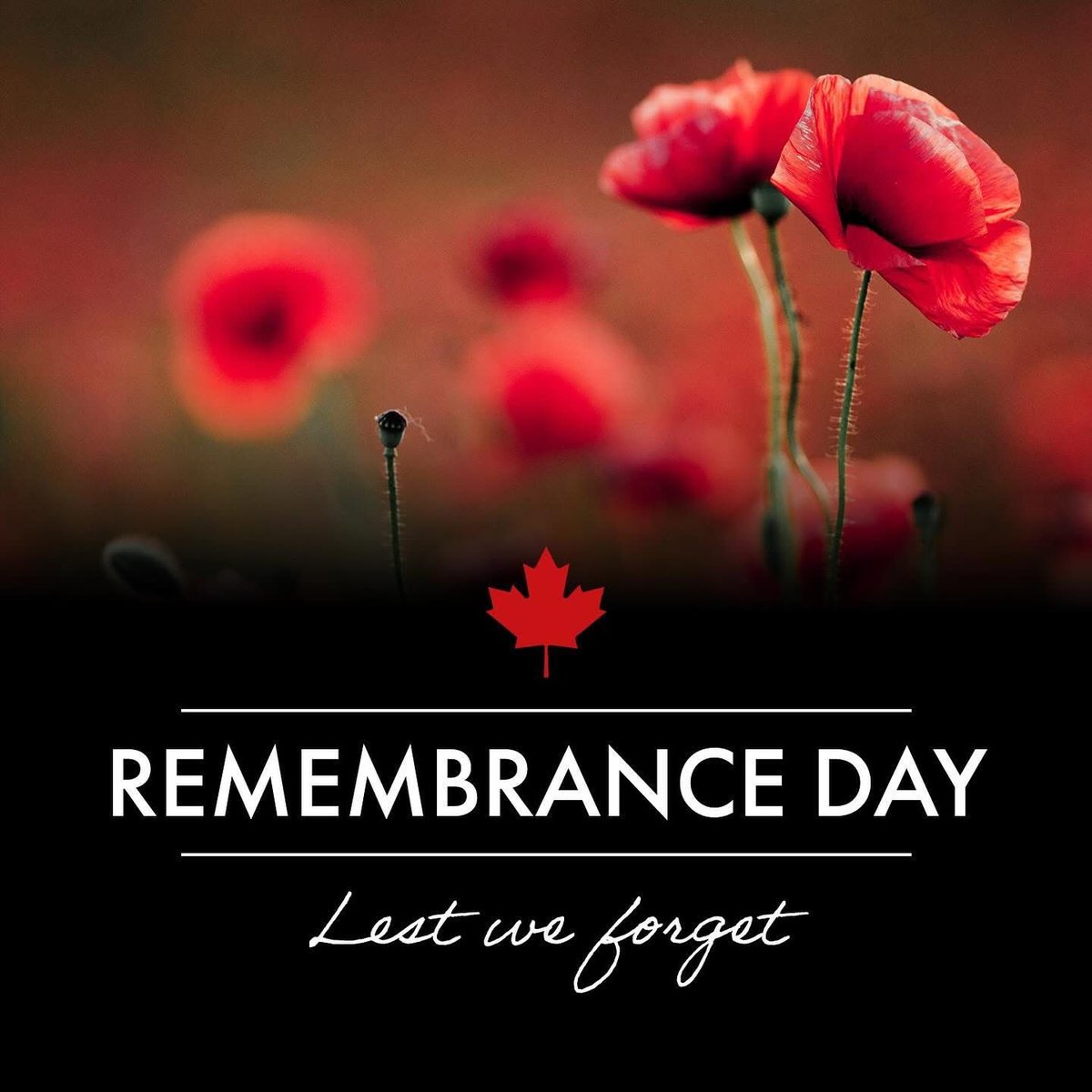 Today, we pause to honour the courage, sacrifice, and service of the men and women who gave so much for our freedom.

Whether you attended a ceremony in Chestermere, Strathmore, or elsewhere, your presence is an act of remembrance and gratitude.

Lest we forget.
