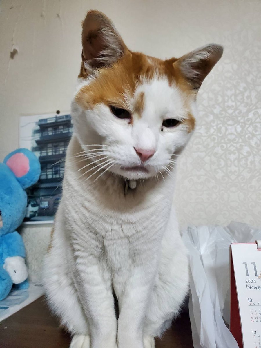 新人さん紹介です♪

🎀新人さん🎀
・みあさん
・ひめかさん
・こなたさん

⬇️本日の出勤情報⬇️
x.com/kamakura5070n/…
☎️043-224-5070

乾燥注意報！？
お風呂であたたまろう